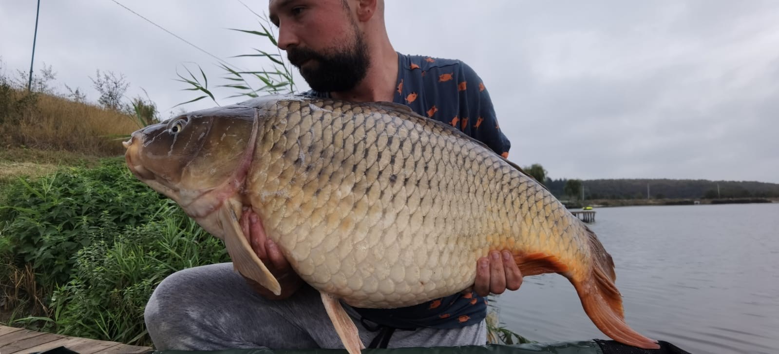 Moara Vlasiei 2, 5 - 6 octombrie 2020 - WhatsAppImage20201007at234727.jpg